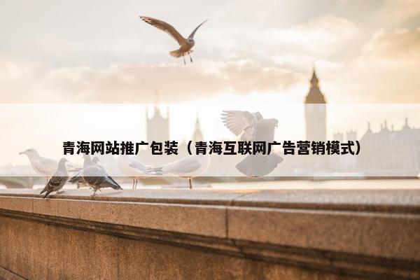 青海网站推广包装（青海互联网广告营销模式）