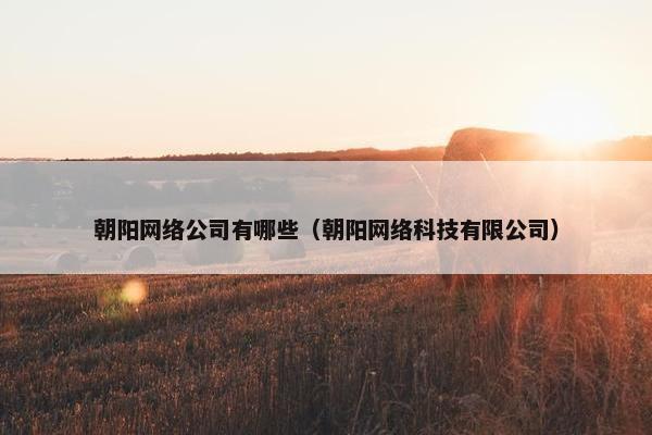 朝阳网络公司有哪些（朝阳网络科技有限公司）