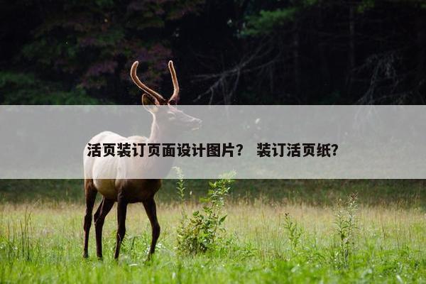 活页装订页面设计图片？ 装订活页纸？