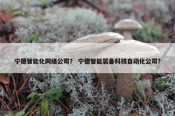 宁德智能化网络公司？ 宁德智能装备科技自动化公司？