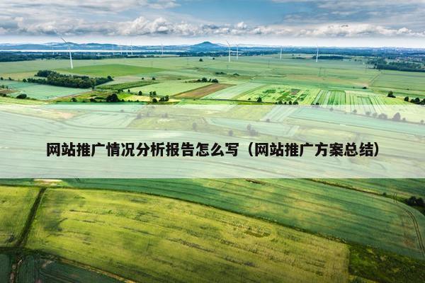 网站推广情况分析报告怎么写（网站推广方案总结）
