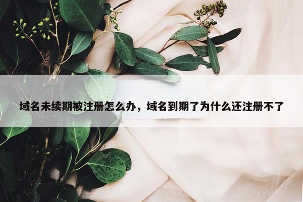 域名未续期被注册怎么办，域名到期了为什么还注册不了