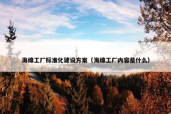 海绵工厂标准化建设方案（海绵工厂内容是什么）