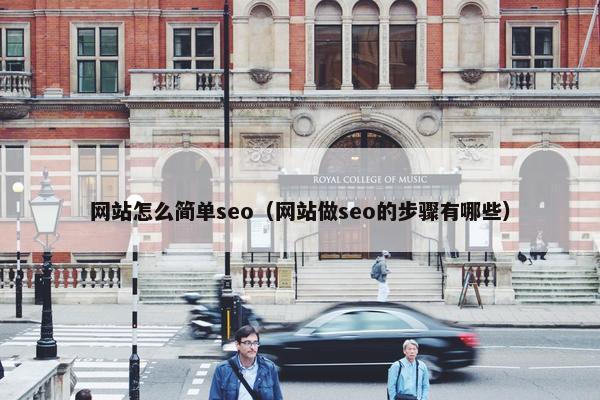 网站怎么简单seo（网站做seo的步骤有哪些）