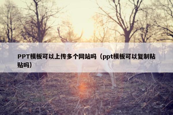 PPT模板可以上传多个网站吗（ppt模板可以复制粘贴吗）
