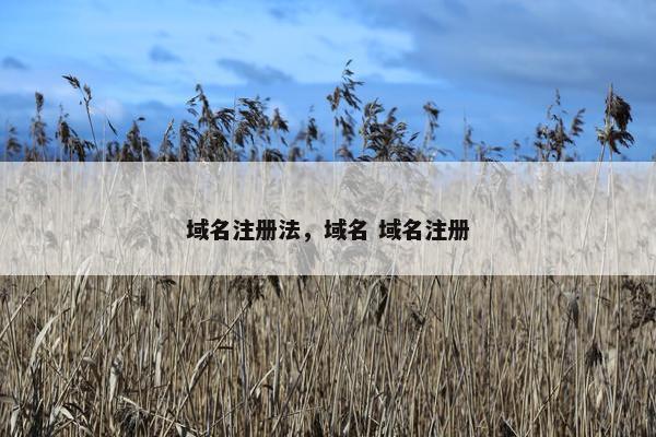 域名注册法，域名 域名注册