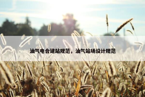 油气电合建站规范，油气站场设计规范