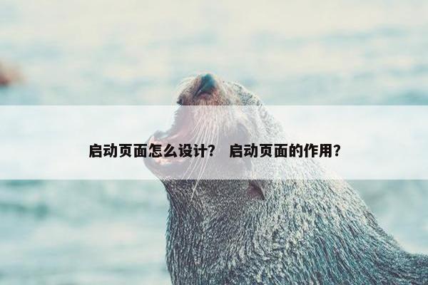 启动页面怎么设计？ 启动页面的作用？