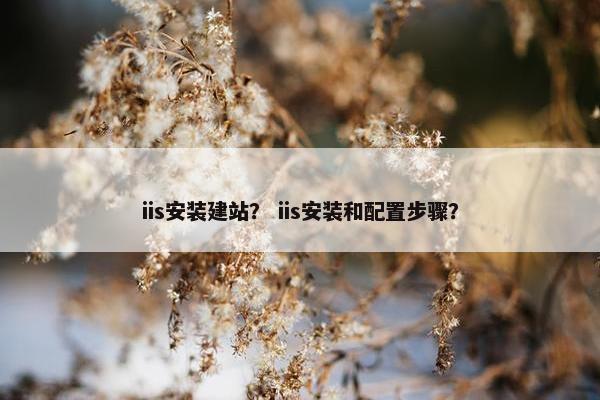 iis安装建站？ iis安装和配置步骤？