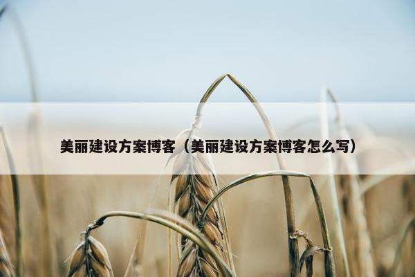 美丽建设方案博客（美丽建设方案博客怎么写）