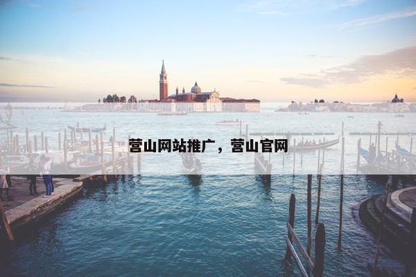 营山网站推广，营山官网