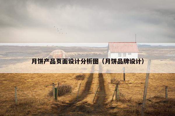月饼产品页面设计分析图（月饼品牌设计）