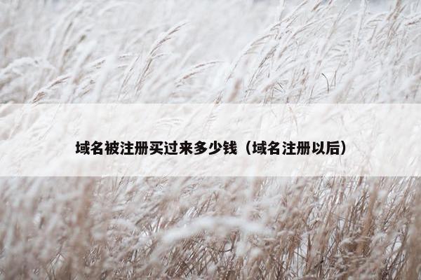 域名被注册买过来多少钱（域名注册以后）