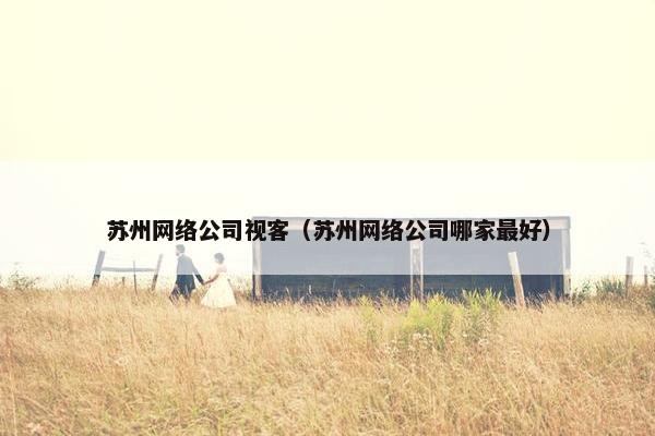 苏州网络公司视客（苏州网络公司哪家最好）