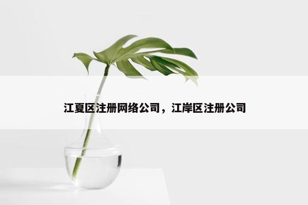 江夏区注册网络公司，江岸区注册公司