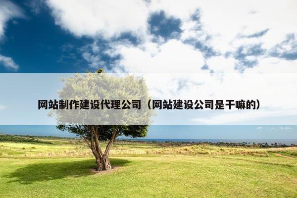 网站制作建设代理公司（网站建设公司是干嘛的）