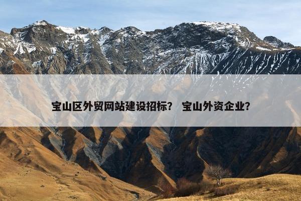 宝山区外贸网站建设招标？ 宝山外资企业？