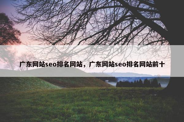 广东网站seo排名网站，广东网站seo排名网站前十