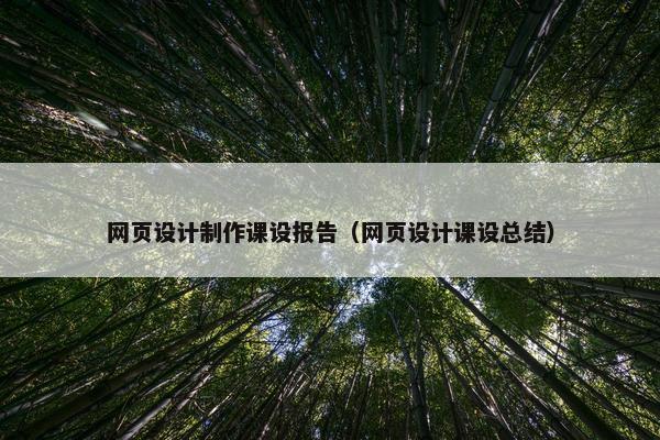 网页设计制作课设报告（网页设计课设总结）