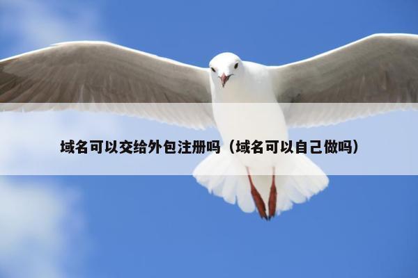 域名可以交给外包注册吗（域名可以自己做吗）