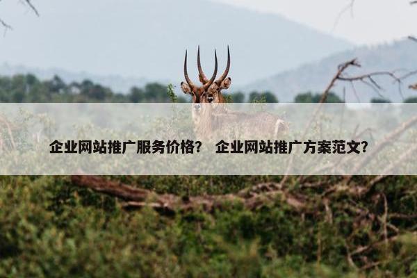 企业网站推广服务价格？ 企业网站推广方案范文？