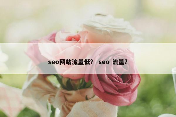 seo网站流量低？ seo 流量？