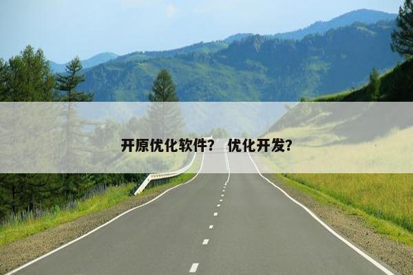 开原优化软件？ 优化开发？
