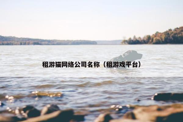 租游猫网络公司名称（租游戏平台）