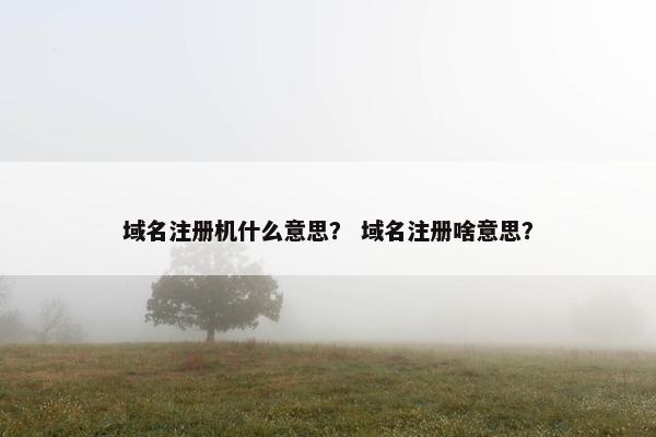域名注册机什么意思？ 域名注册啥意思？
