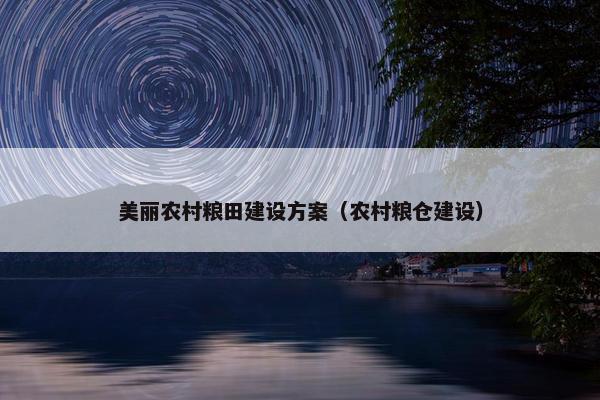 美丽农村粮田建设方案（农村粮仓建设）