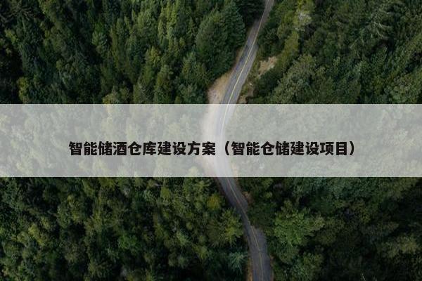 智能储酒仓库建设方案（智能仓储建设项目）