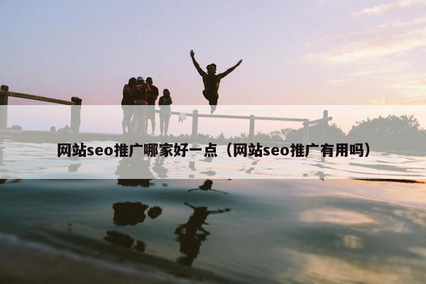 网站seo推广哪家好一点（网站seo推广有用吗）