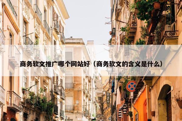 商务软文推广哪个网站好（商务软文的含义是什么）