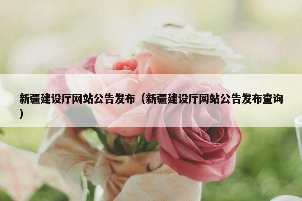 新疆建设厅网站公告发布（新疆建设厅网站公告发布查询）