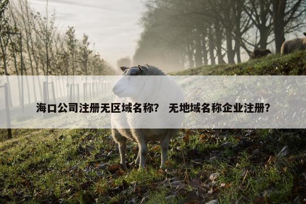 海口公司注册无区域名称？ 无地域名称企业注册？