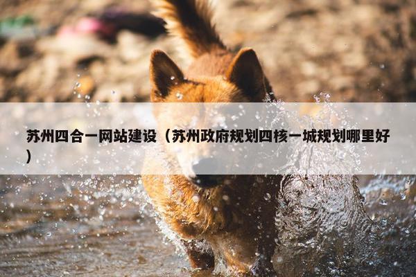 苏州四合一网站建设（苏州政府规划四核一城规划哪里好）
