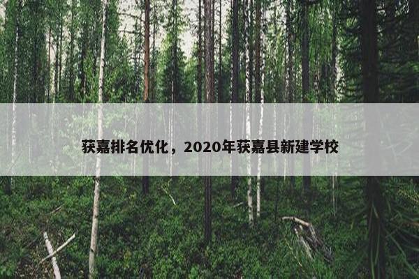 获嘉排名优化，2020年获嘉县新建学校