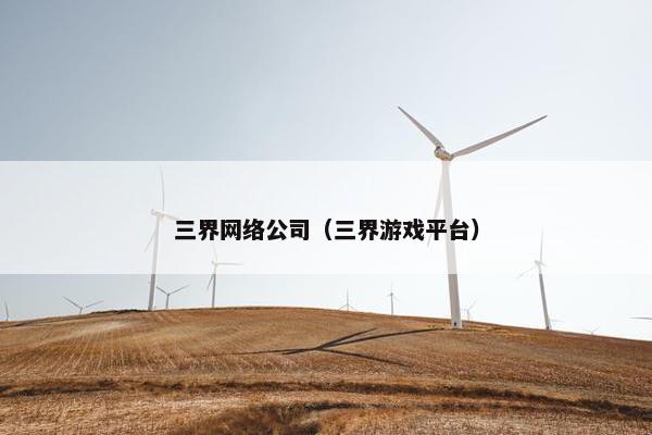三界网络公司（三界游戏平台）