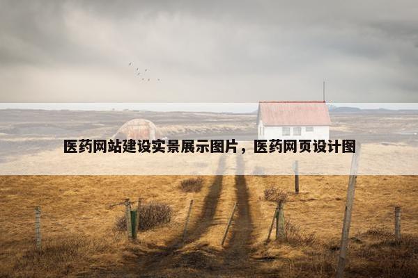 医药网站建设实景展示图片，医药网页设计图
