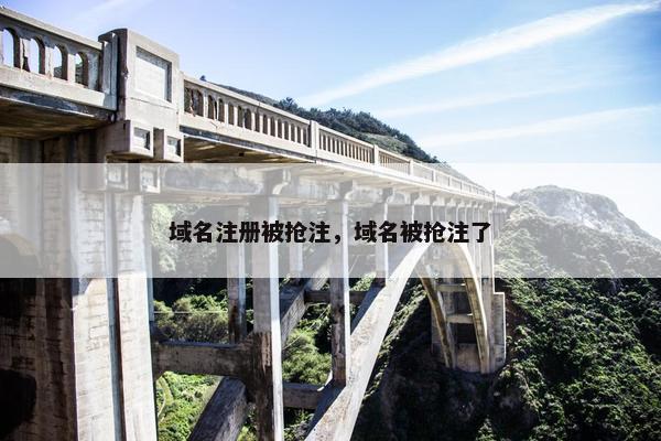 域名注册被抢注，域名被抢注了