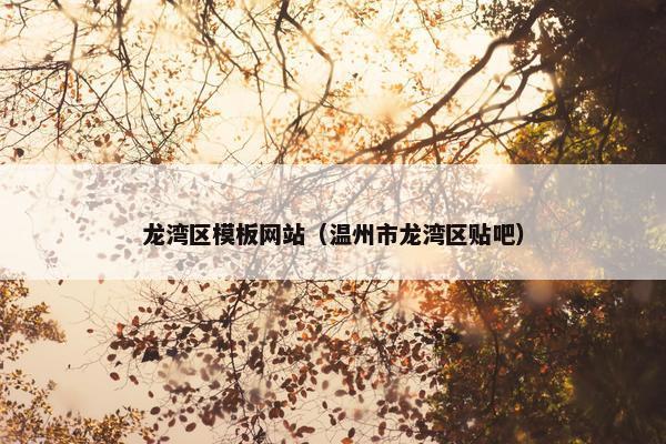 龙湾区模板网站（温州市龙湾区贴吧）
