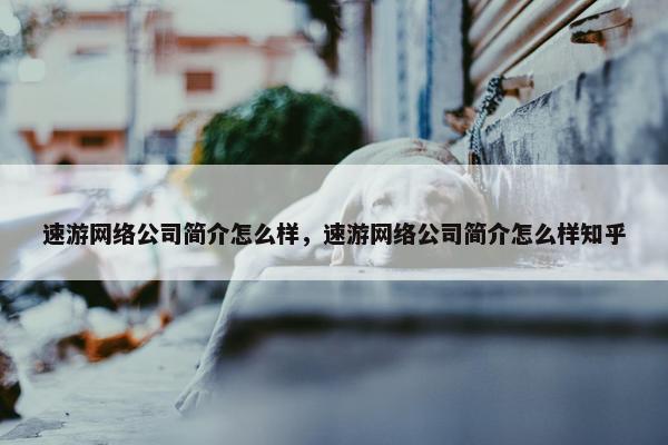 速游网络公司简介怎么样，速游网络公司简介怎么样知乎
