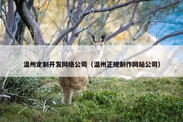 温州定制开发网络公司（温州正规制作网站公司）