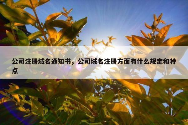 公司注册域名通知书，公司域名注册方面有什么规定和特点