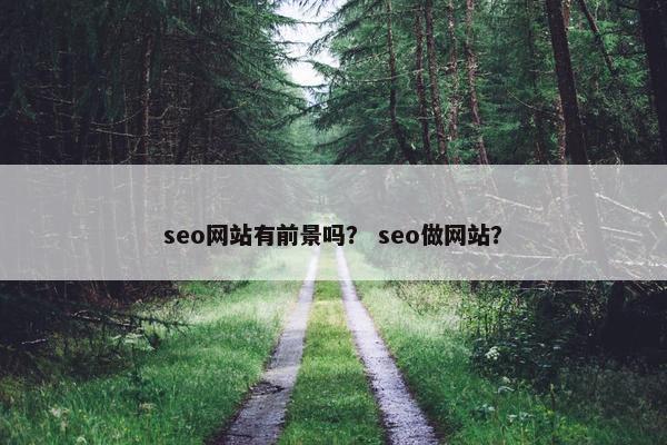 seo网站有前景吗？ seo做网站？