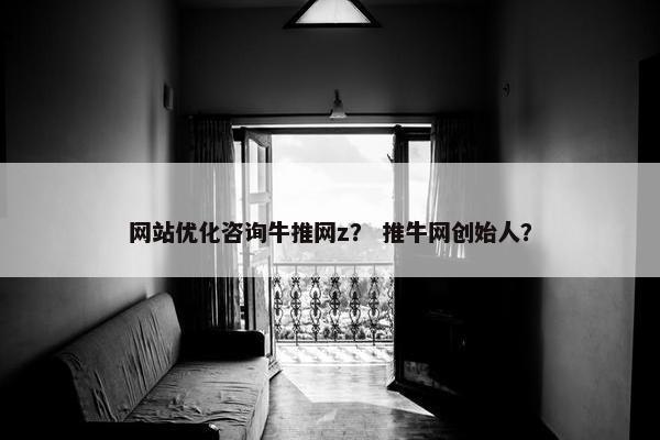 网站优化咨询牛推网z？ 推牛网创始人？