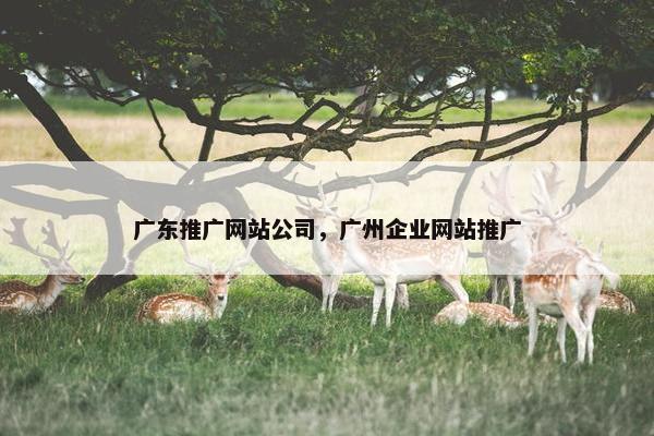 广东推广网站公司，广州企业网站推广