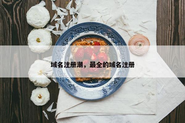 域名注册潮，最全的域名注册