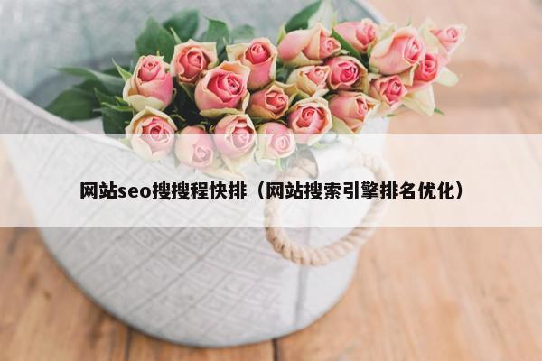 网站seo搜搜程快排（网站搜索引擎排名优化）