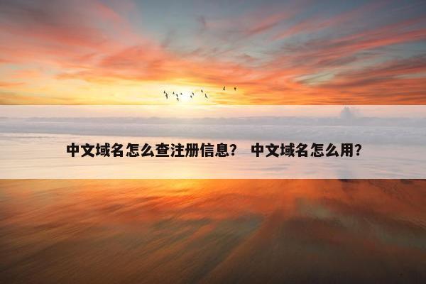 中文域名怎么查注册信息？ 中文域名怎么用？